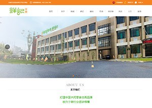 合肥網站定制開發與專業APP開發制作——合肥海風信息科技助力企業數字化轉型