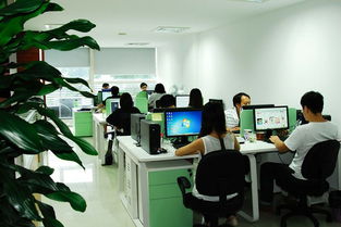 金網助力合肥企業(yè)網站建設 數(shù)字化時代的企業(yè)新名片