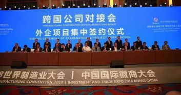 合肥“西邊小深圳”崛起 企業(yè)網站建設熱潮背后的創(chuàng)新動力