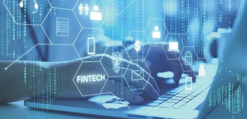 香港理工大學推出全新課程，助力合肥企業網站建設邁向新高度