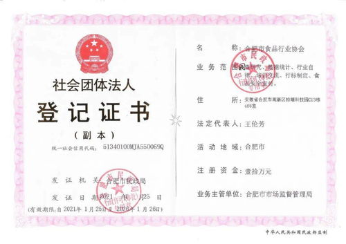 合肥市食品行業協會正式成立，助力企業網站建設與行業數字化轉型